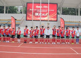 董路创立的中国足球小将项目运营模式揭秘